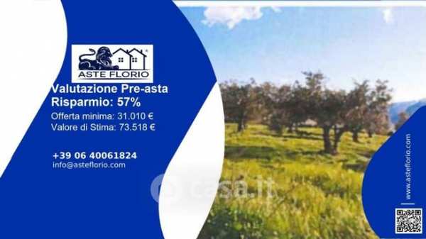 Terreno agricolo in commerciale in Strada Senza Nome