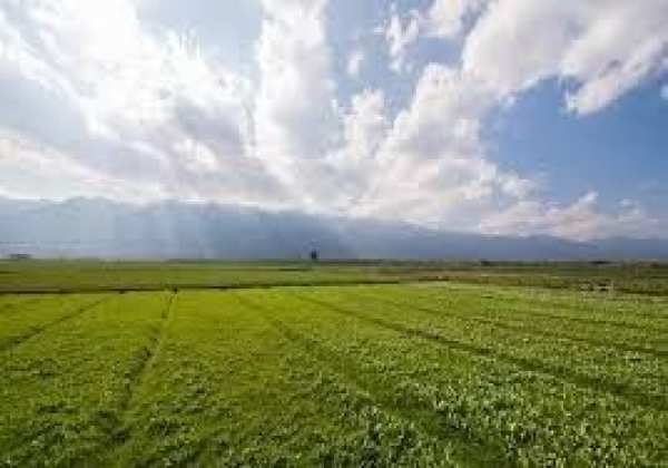 Terreno agricolo in commerciale in Via Limidi