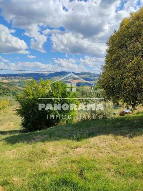 Terreno agricolo in commerciale in 