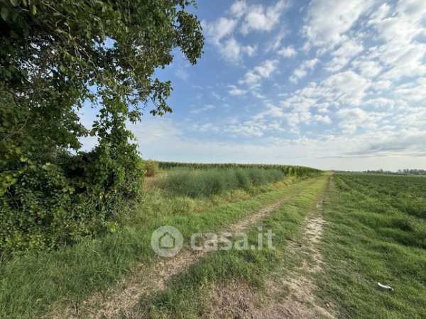 Terreno agricolo in commerciale in Via Rovere