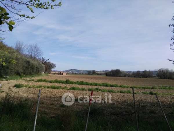 Terreno agricolo in commerciale in Via Fonte Murata
