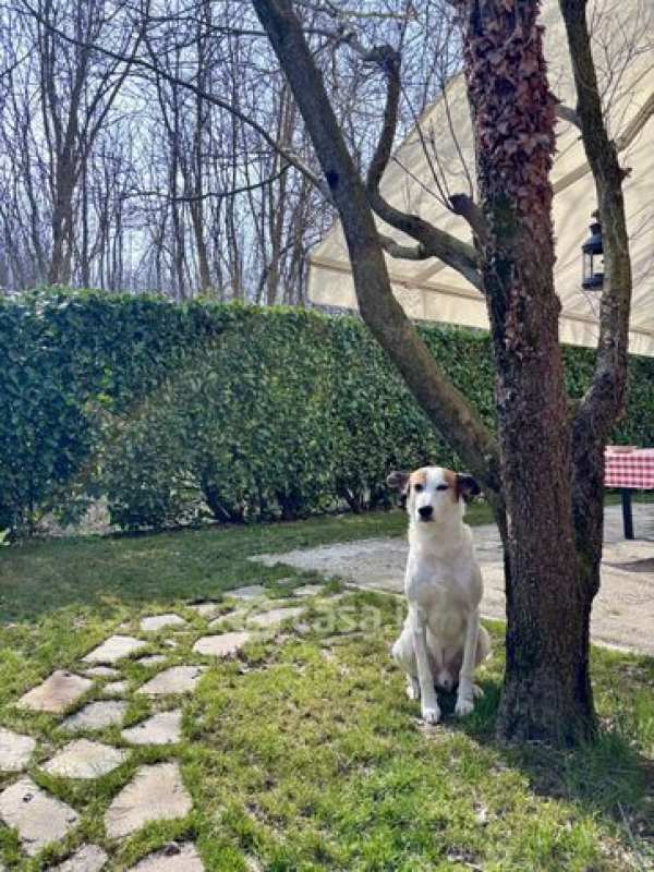 Villetta a schiera in residenziale in Via Francesco Petrarca