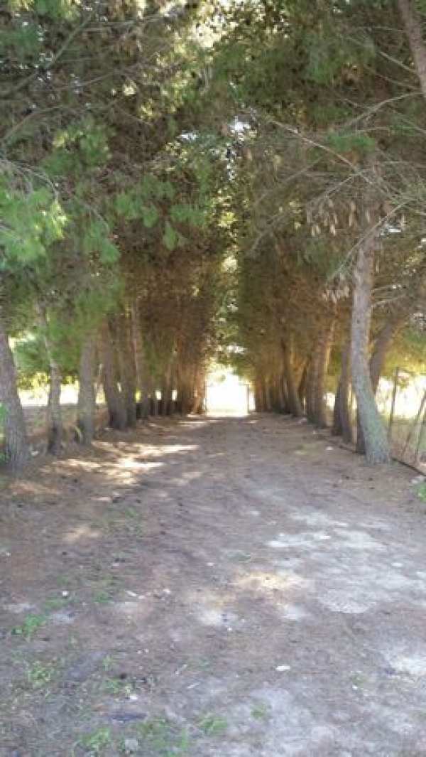 Villa in residenziale in Contrada San Benedetto 10