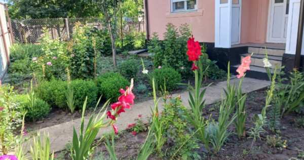 Harlau, iași. casa. negociabil.