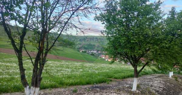 Teren intravilan în târnăveni!