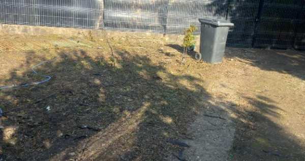 Casa cu teren plopsoru, giurgiu