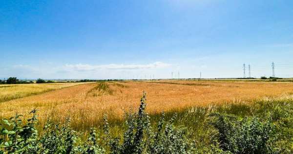 Teren extravilan costesti arges