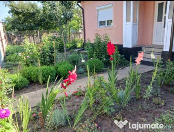 Harlau, iași. casa.