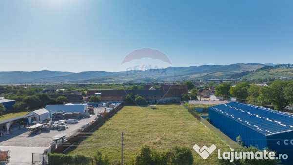 Teren 4,400mp carpinis / dj 112d