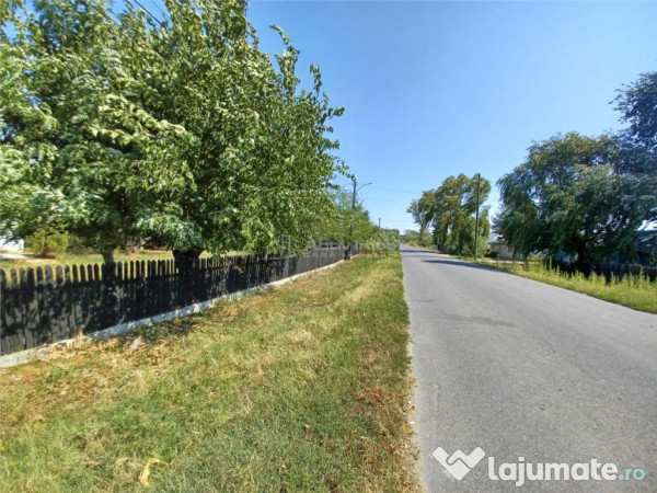 Casa bila ghimpati- giurgiu