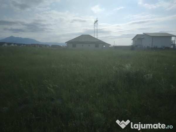 Teren izvor-tărlungeni