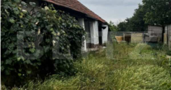 Teren 22ari în martinesti