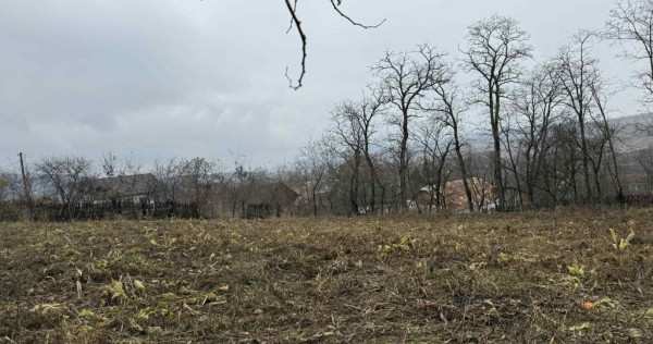 Teren ultracentral in rotunda