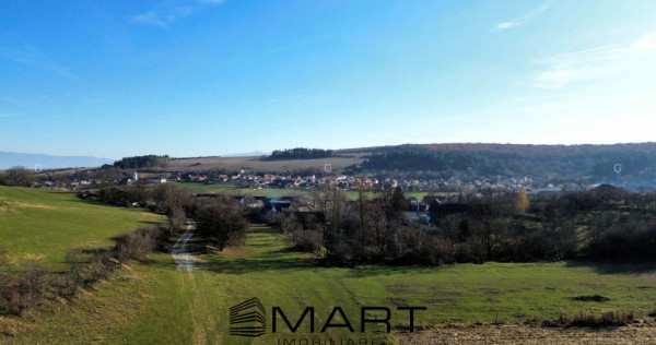 Teren extravilan 650mp rusciori