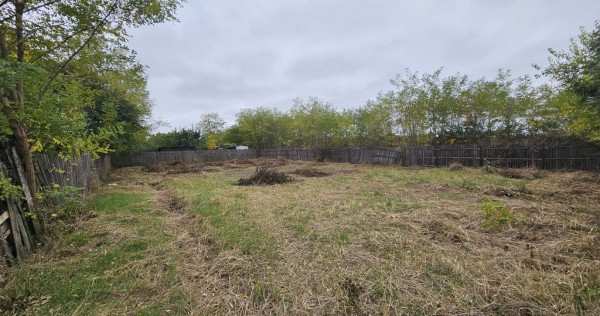 Teren intravilan bradu, 600 mp