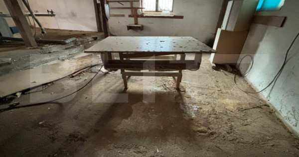 Spatiu omercial central