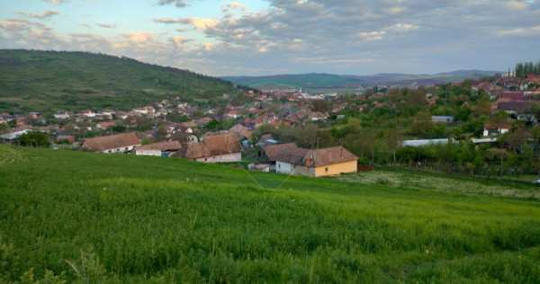 Teren intravilan tarnaveni