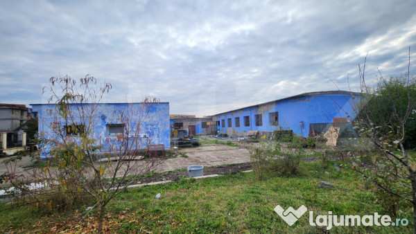 Hala cu teren de inchiriat