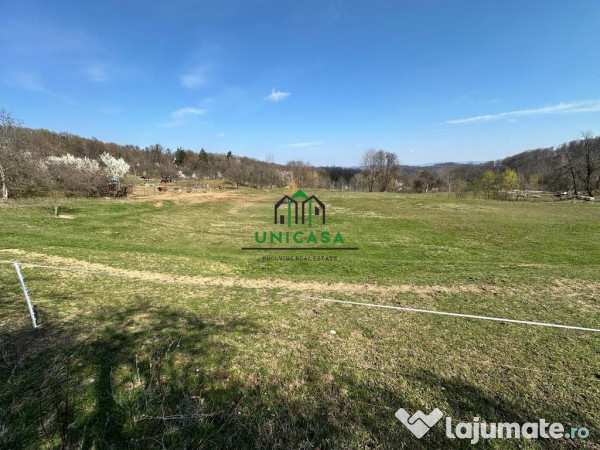 Teren govora / 8131mp