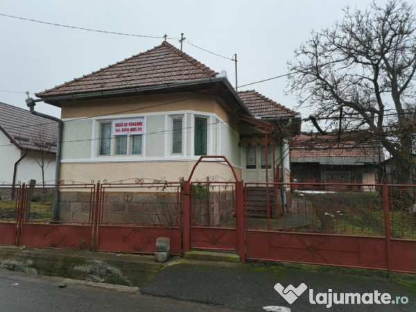 Casa de vânzare in ibanesti