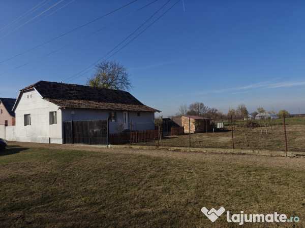 Casă! satu mare, arad, secusigiu