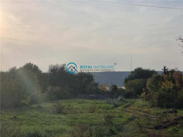 Royal imobiliare - vanzare teren zona boldesti scaieni