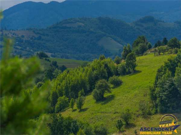Oaza de relaxare, view panoramic, potential constructii pe 16.000 mp, poiana marului