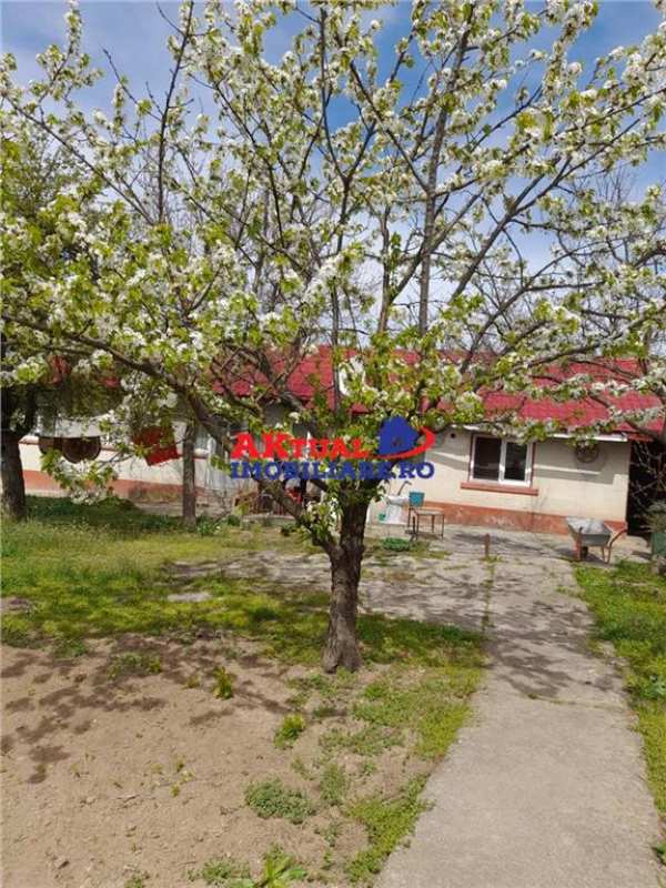 Vanzare casa cu teren 1200mp in com.mihai bravu-giurgiu