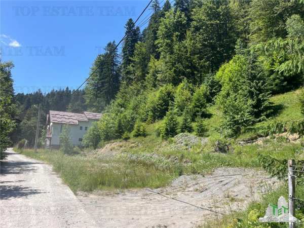 Ideal investitie teren predeal, 1936 mp intravilan, toate utilitatile, padure