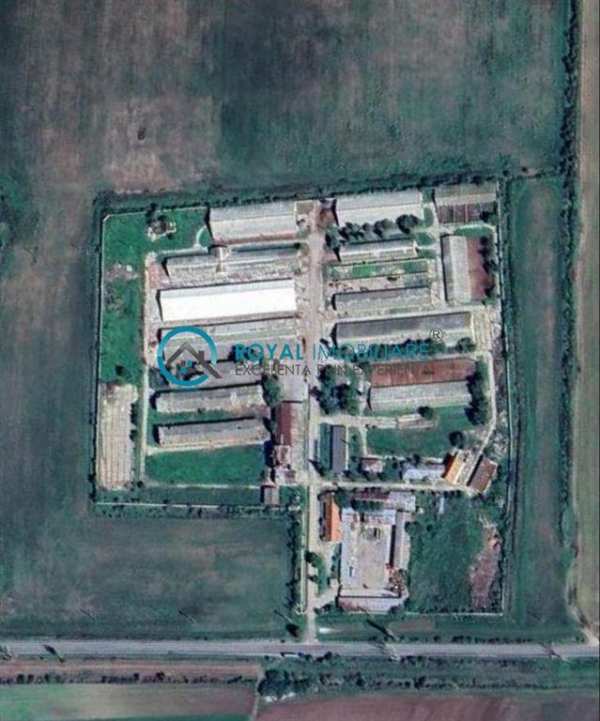 Royal imobiliare - vanzare ferma zootehnica, zona tomsani