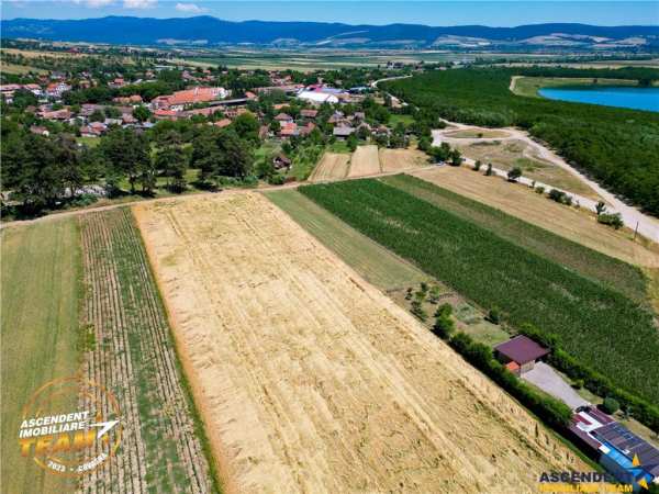 Film! valea crisului,2.300mp,in vecinatatea lacului,aproape de sfantu gheorghe