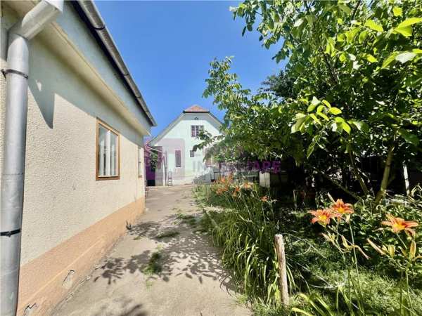 Casa de vanzare  | 2 constructii | 540 mp teren |  zona lupeni | pivnita