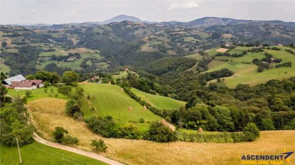 16.000 mp + imobil, splendoare si regasire in mijlocul naturii,