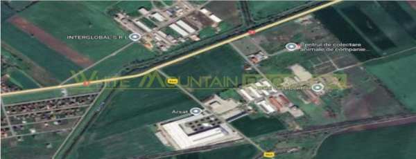 Pecica, jud arad, 6ha teren de vanzare