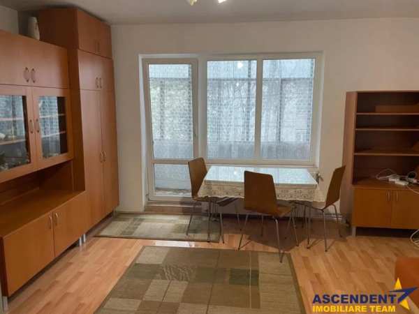 Apartament cu 1 camera, dambu pietros