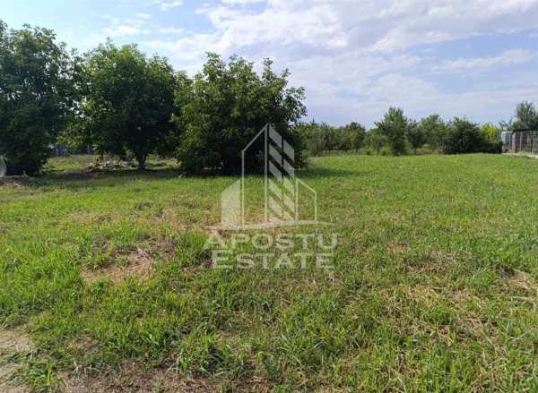 Teren intravilan in vatra satului giarmata vii de 683 mp