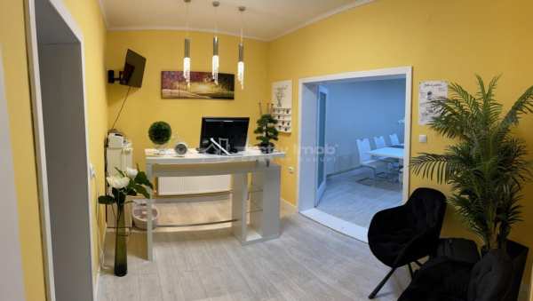 Casa 5 camere parcul bratianu - nymphea