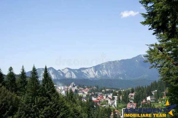 Vila versatila, dubla oportunitate: rezidential exclusivist si potential comercial