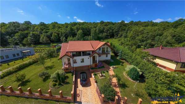 Refined ensemble, elite natural setting, 5 km from corvin castle.