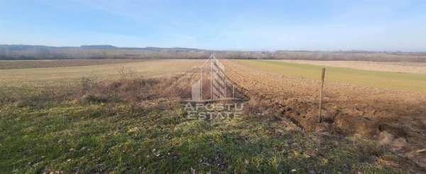 Teren agricol, barsa, eligibil pentru fonduri europene