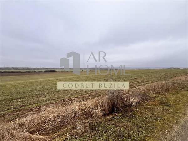 Teren intravilan 4792 mp,  bucov