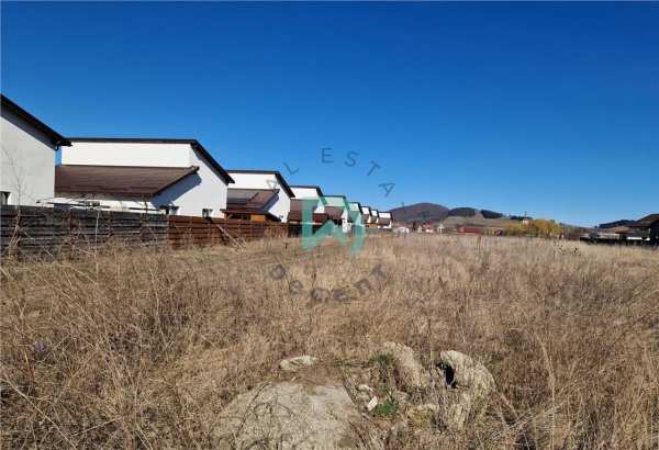 Teren de vanzare  sanpetru