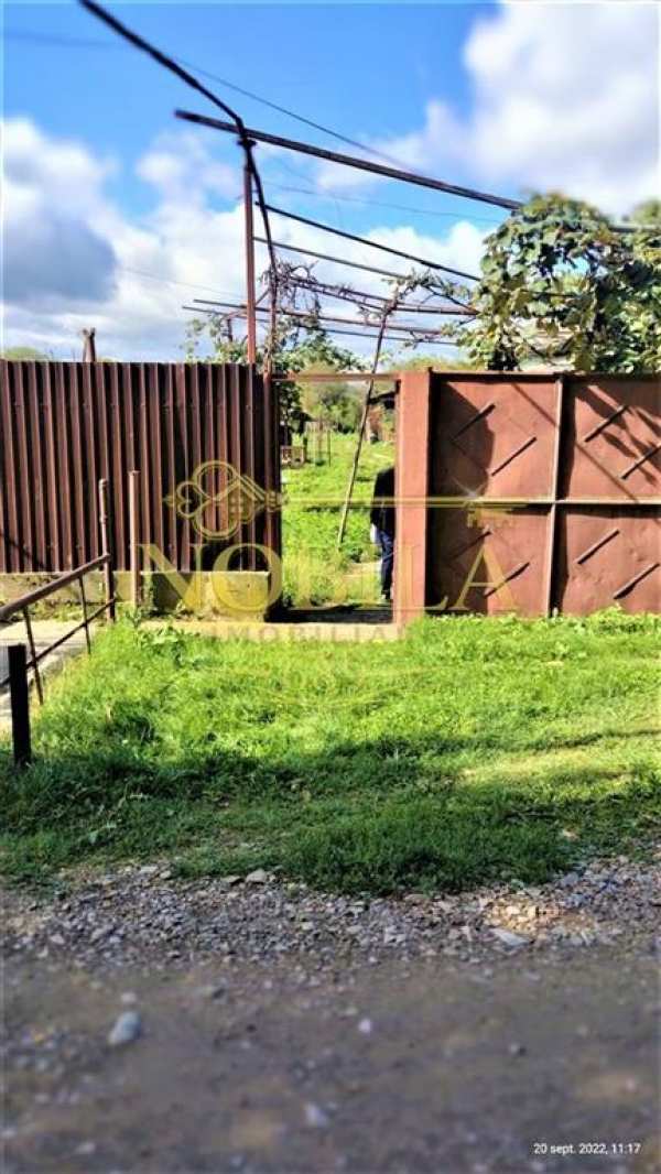 Teren  9800 mp pentru investitii buciumi- 7 km de onesti