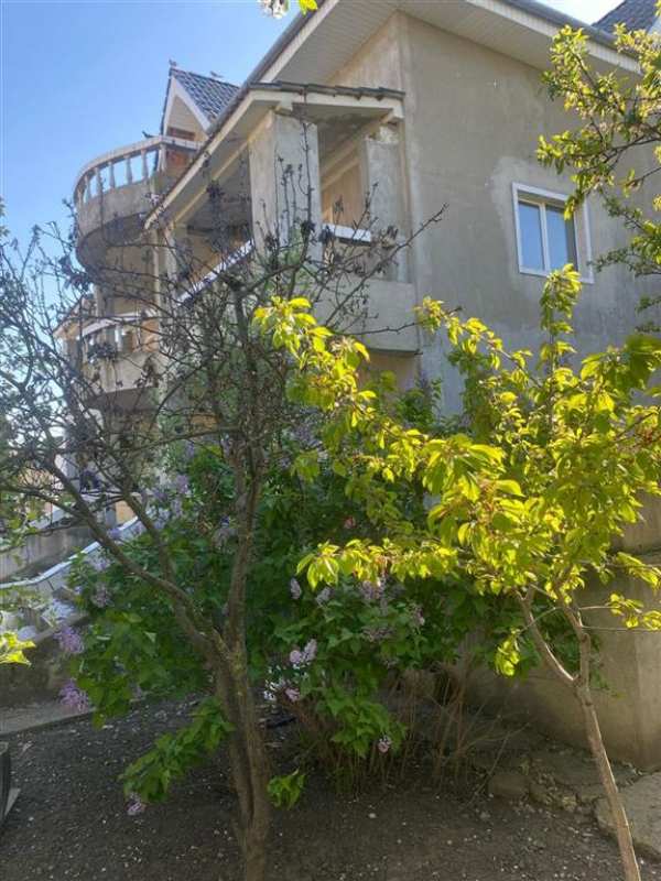 Vila p + 1 si  teren atat ptr.bussines cat si ptr locuit onesti