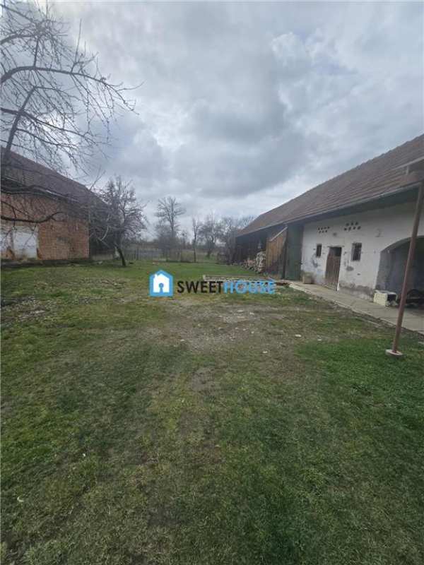 Spatiu liniste si libertate la poalele muntilor