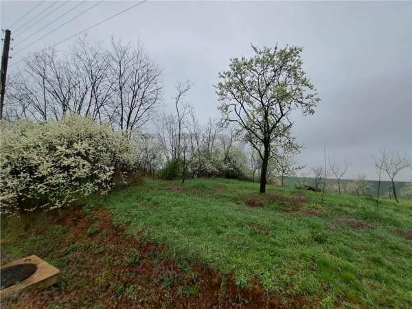 Reco teren viisoara