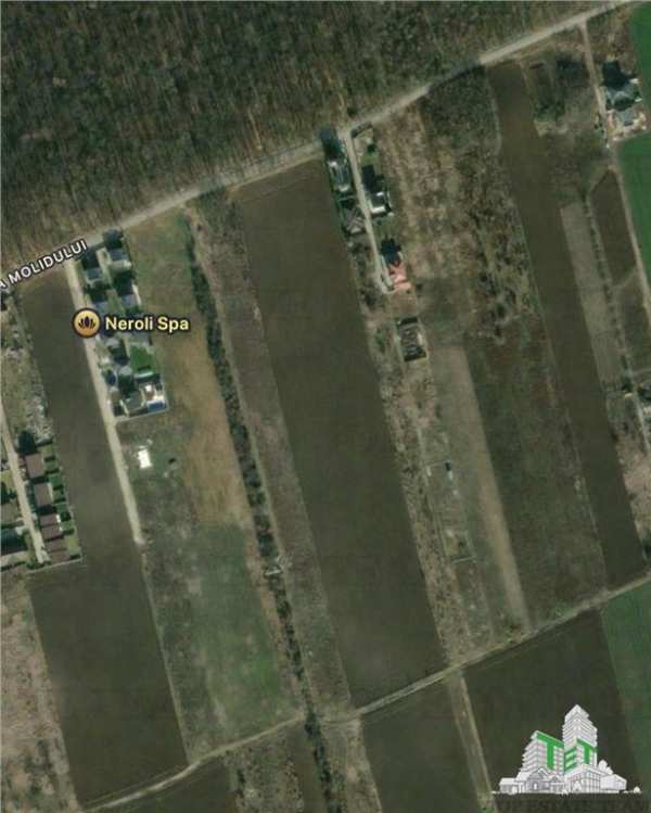 Teren de vanzare langa padure| tamasi, corbeanca | 1170mp
