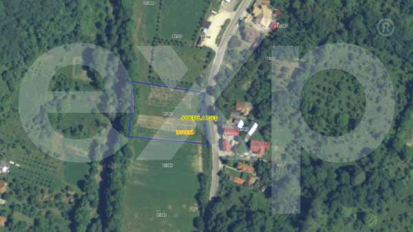 Teren intravilan la tara in arges - 3.565 mp in comuna boteni