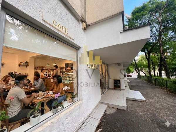 Vanzare spatiu comercial 90 mp baneasa ficusului aerogarii