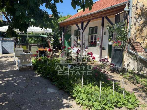 Doua case de vanzare in aceeasi curte zona maria